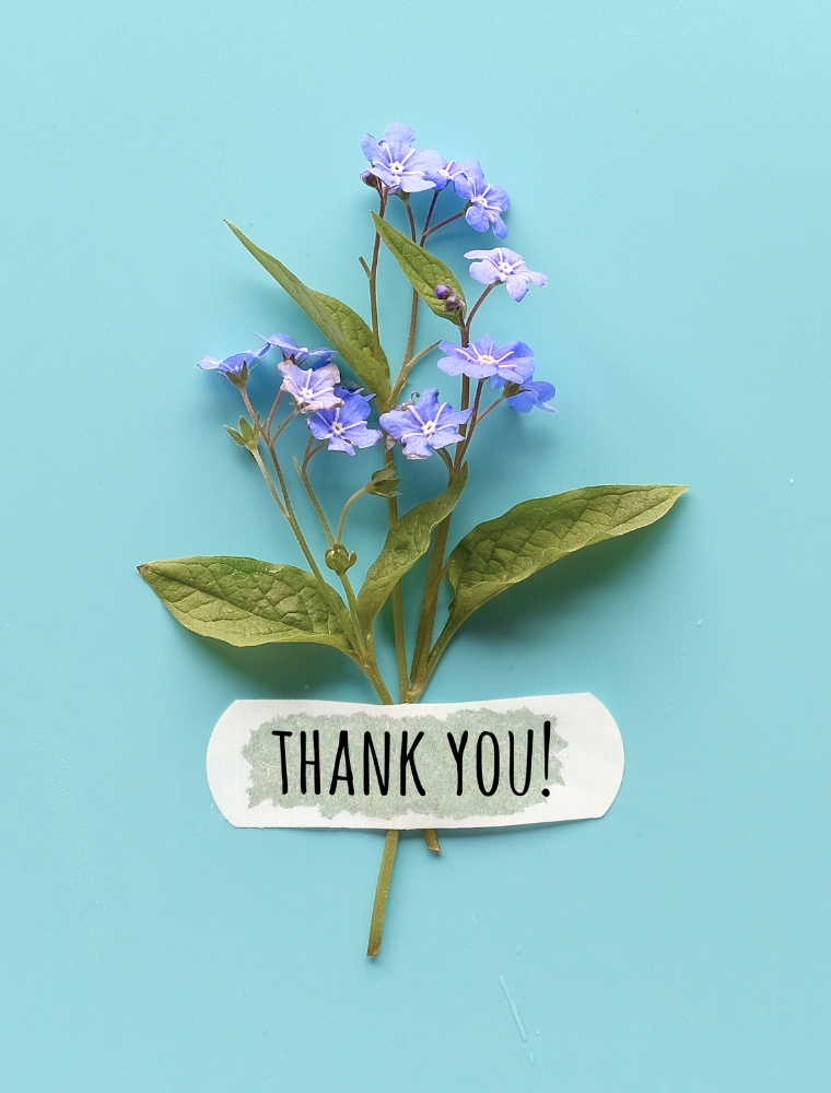 Thanks-mobi-sm